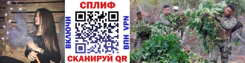 Продажа наркотиков Кисловодск Псилоцибиновые грибы  A PVP  Кокаин  Гашиш  Метадон  Каннабис  МЕФ 