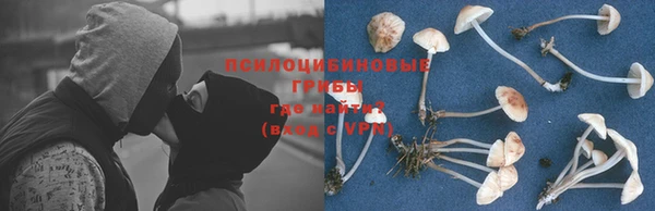 jwh Пересвет
