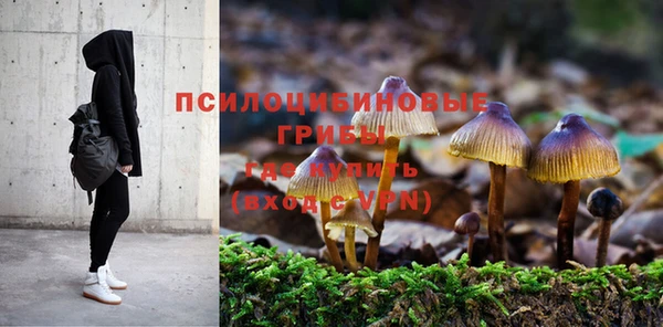 альфа пвп Переславль-Залесский