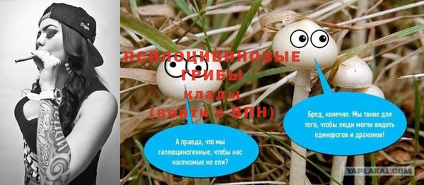 jwh Пересвет