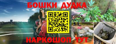 дурь Заводоуковск