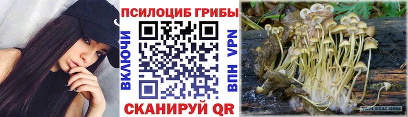 Галлюциногенные грибы MAGIC MUSHROOMS  Кисловодск 