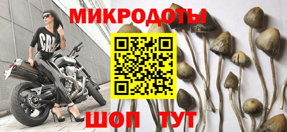 Кисловодск  Псилоцибиновые грибы мухоморы  Вход с VPN 