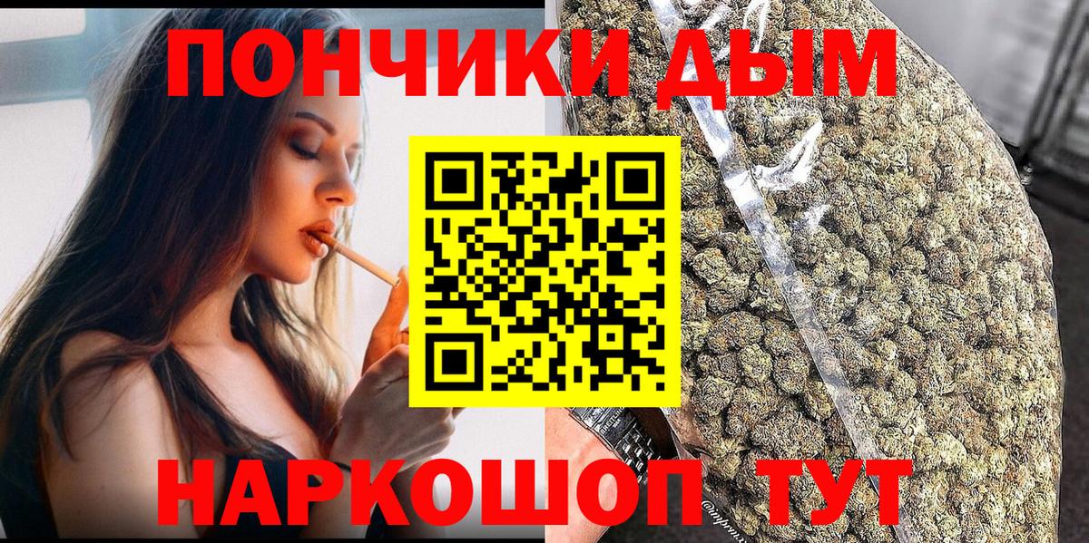 Конопля гибрид Кисловодск